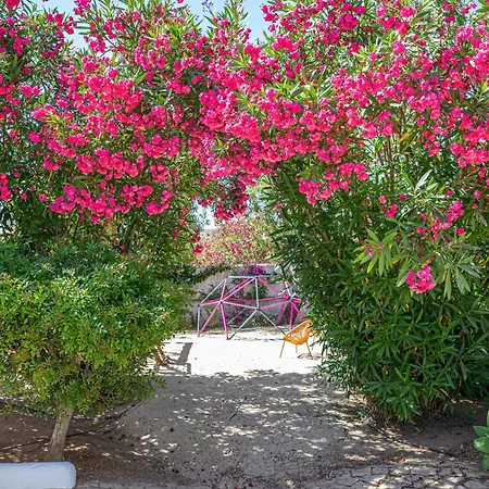 Casa A Faria Carvoeiro (Lagoa)